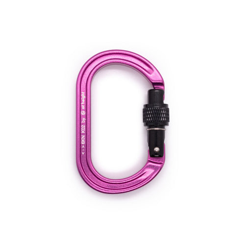 K02SG ScrewGate Accessory Karabiner